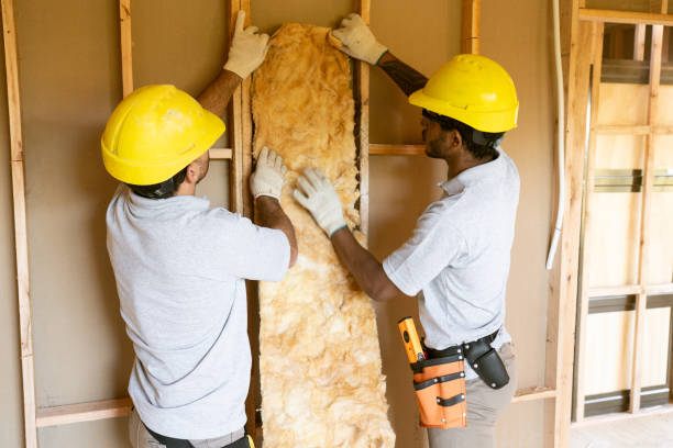 Best Commercial Insulation Contractor  in Rockford, MI