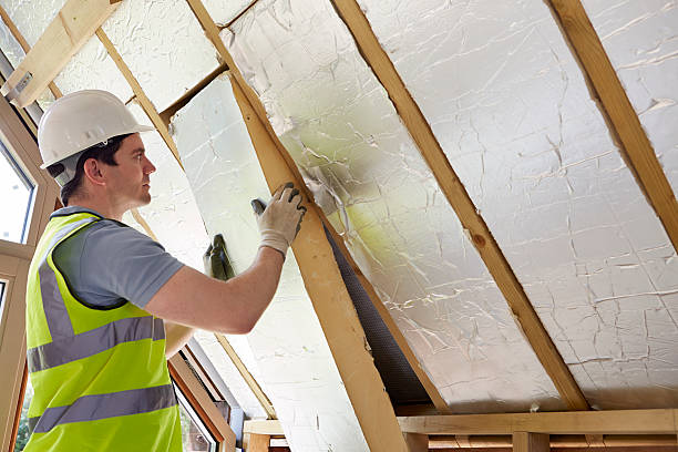 Best Insulation Removal  in Rockford, MI