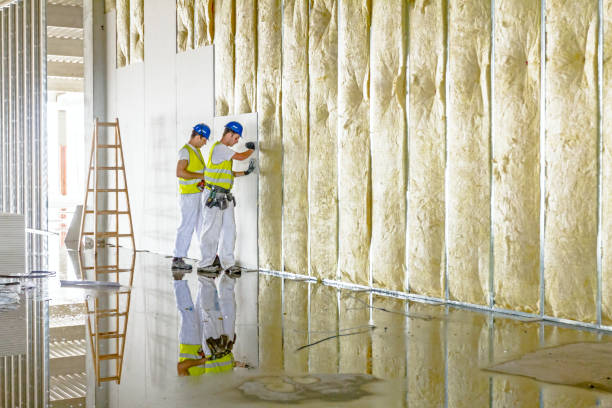 Best Insulation Replacement Services  in Rockford, MI